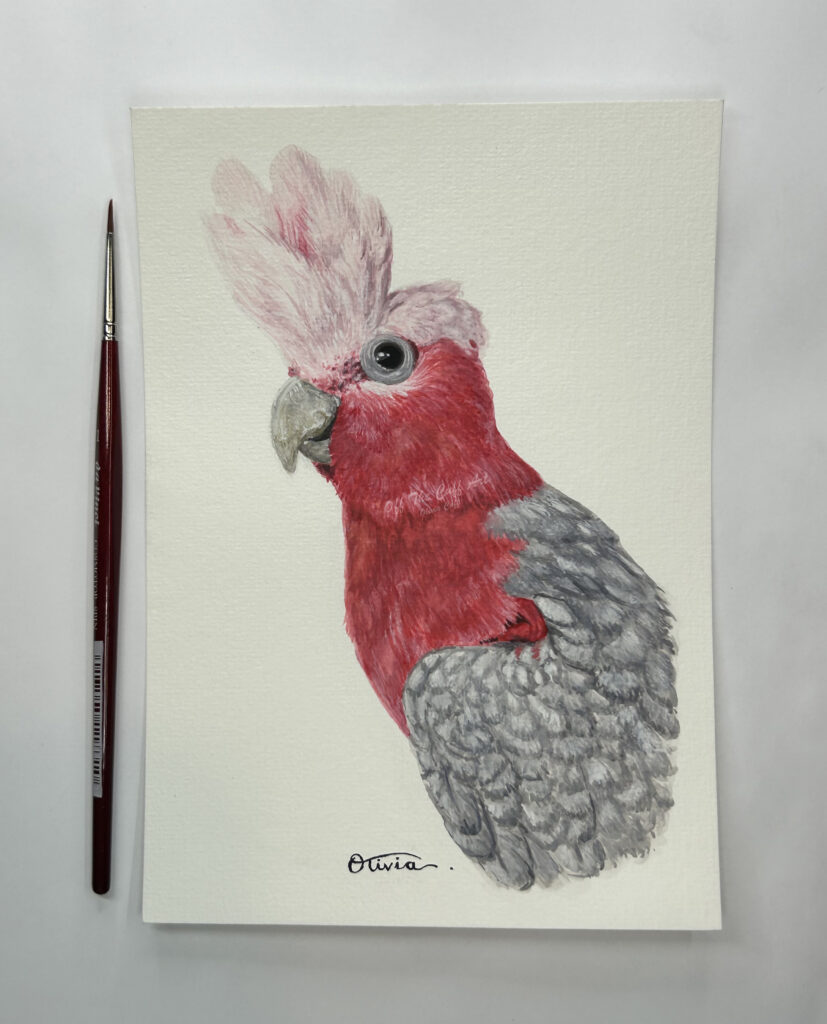 bird popat