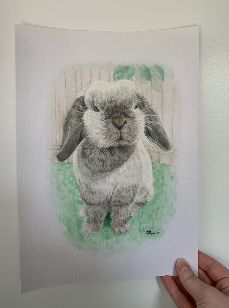 bunny coco