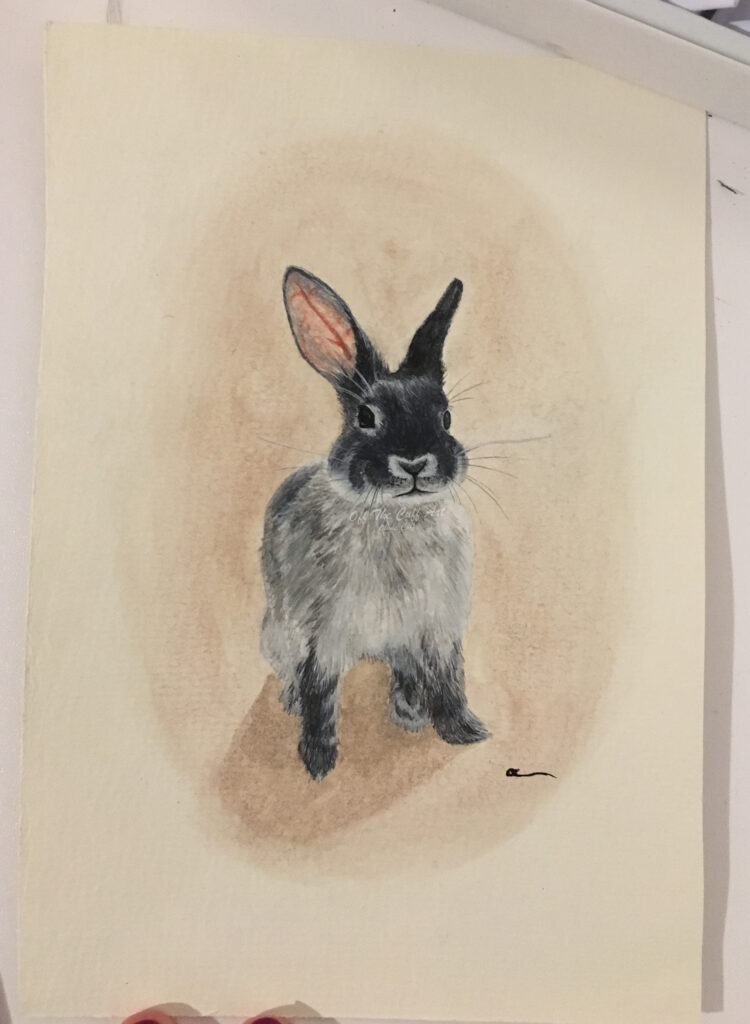 bunny melon