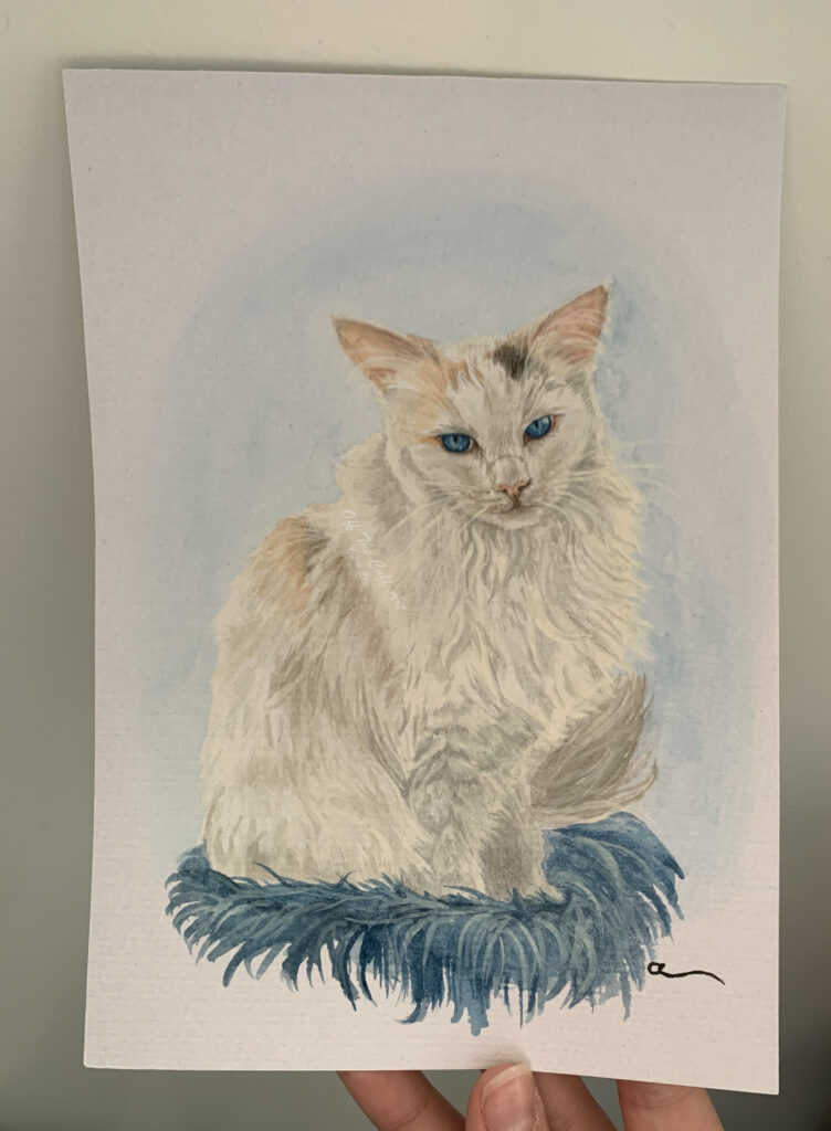 cat chloe
