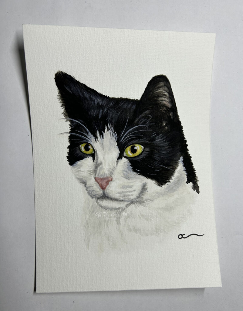 cat cleo