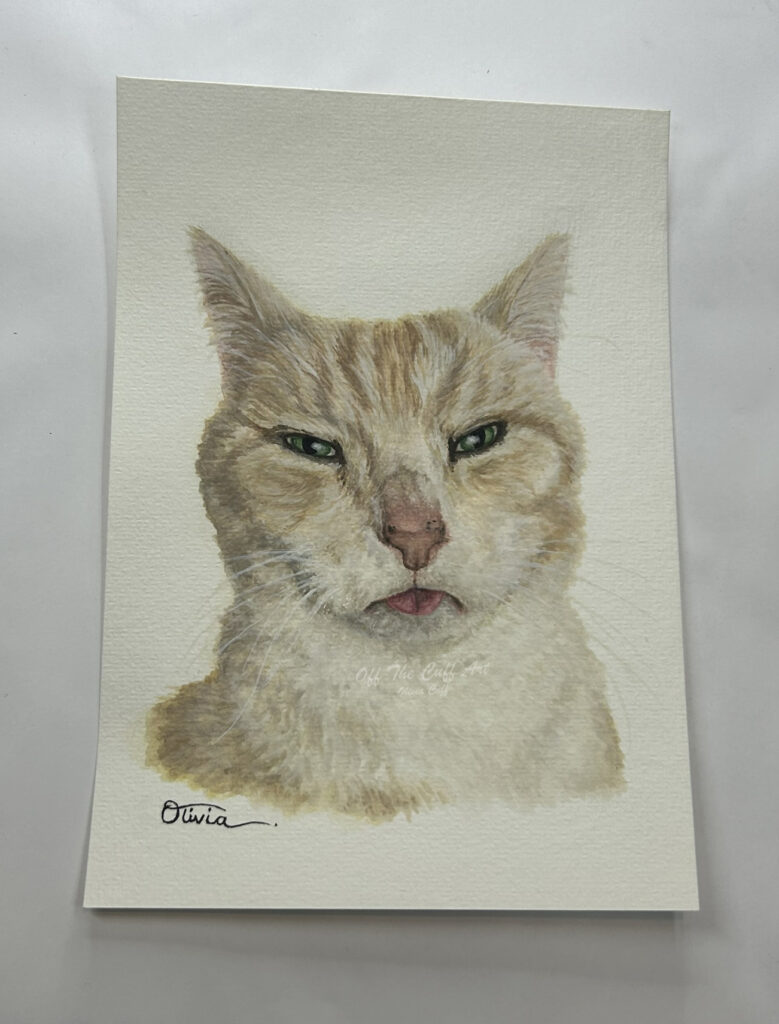 cat griffen