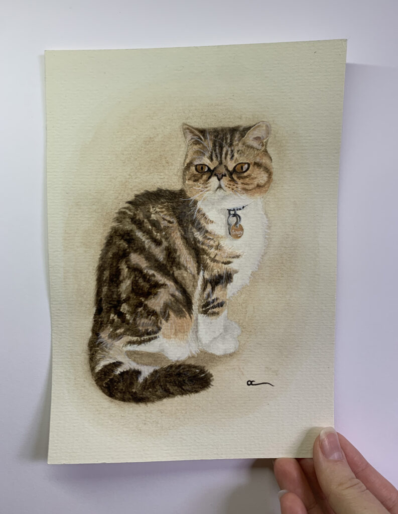 cat jimmy