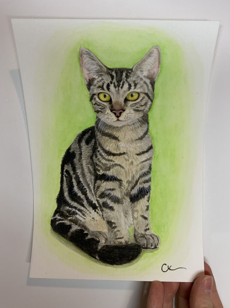 cat lola