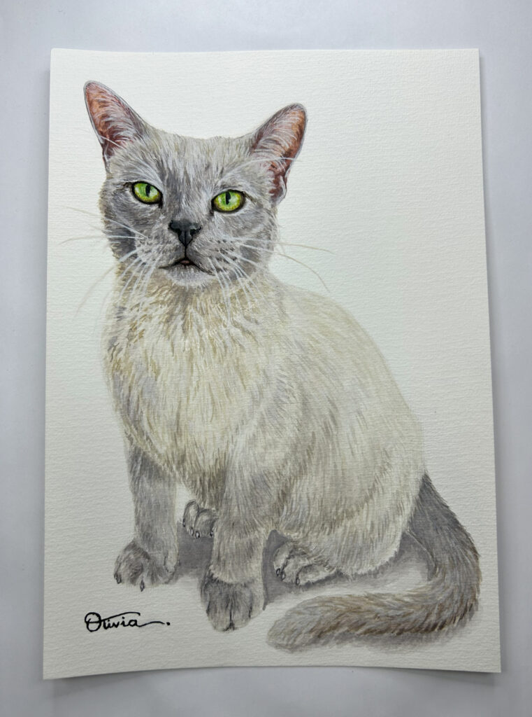 cat oscar