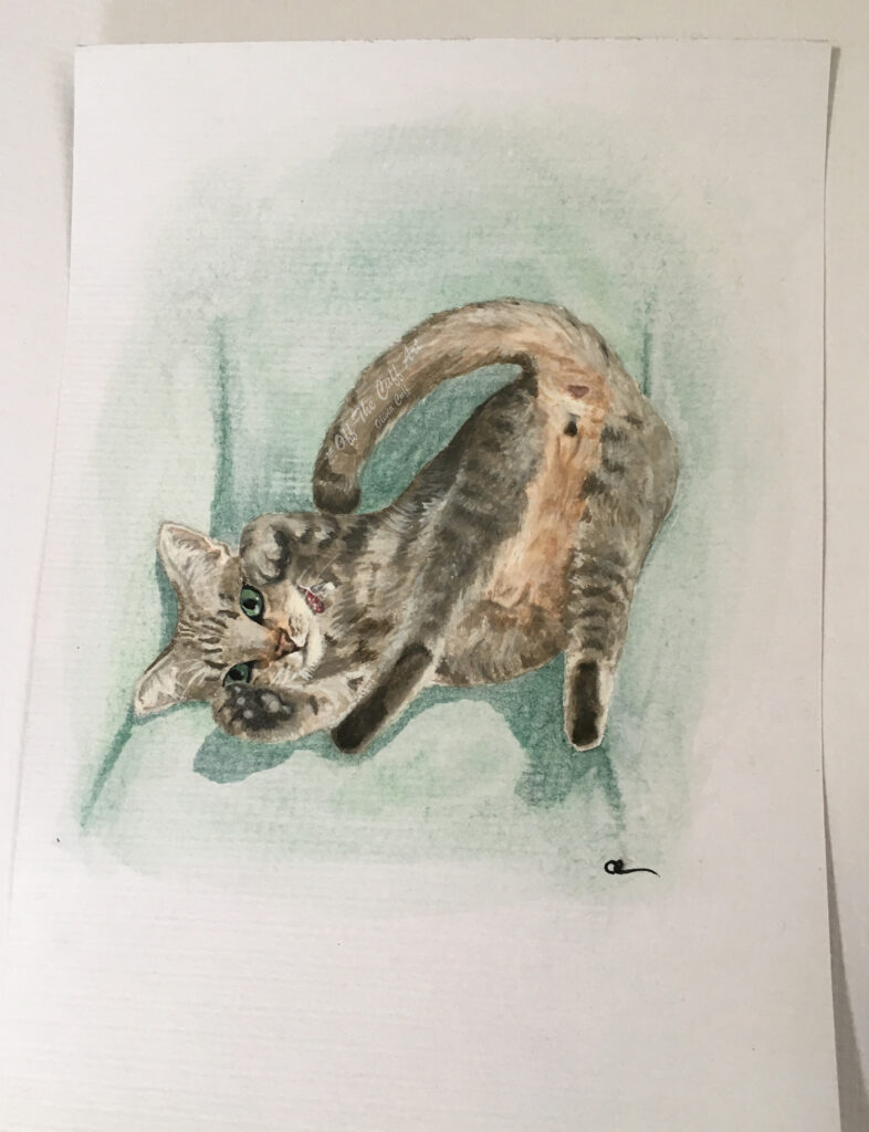 cat rocket