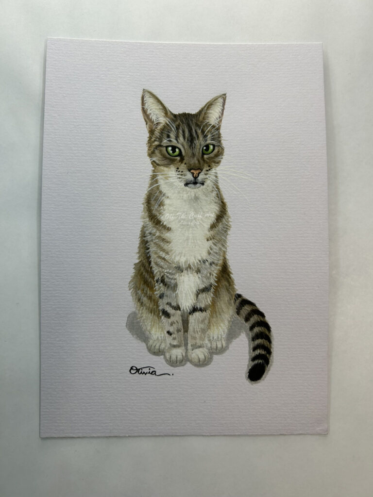 cat scruffy
