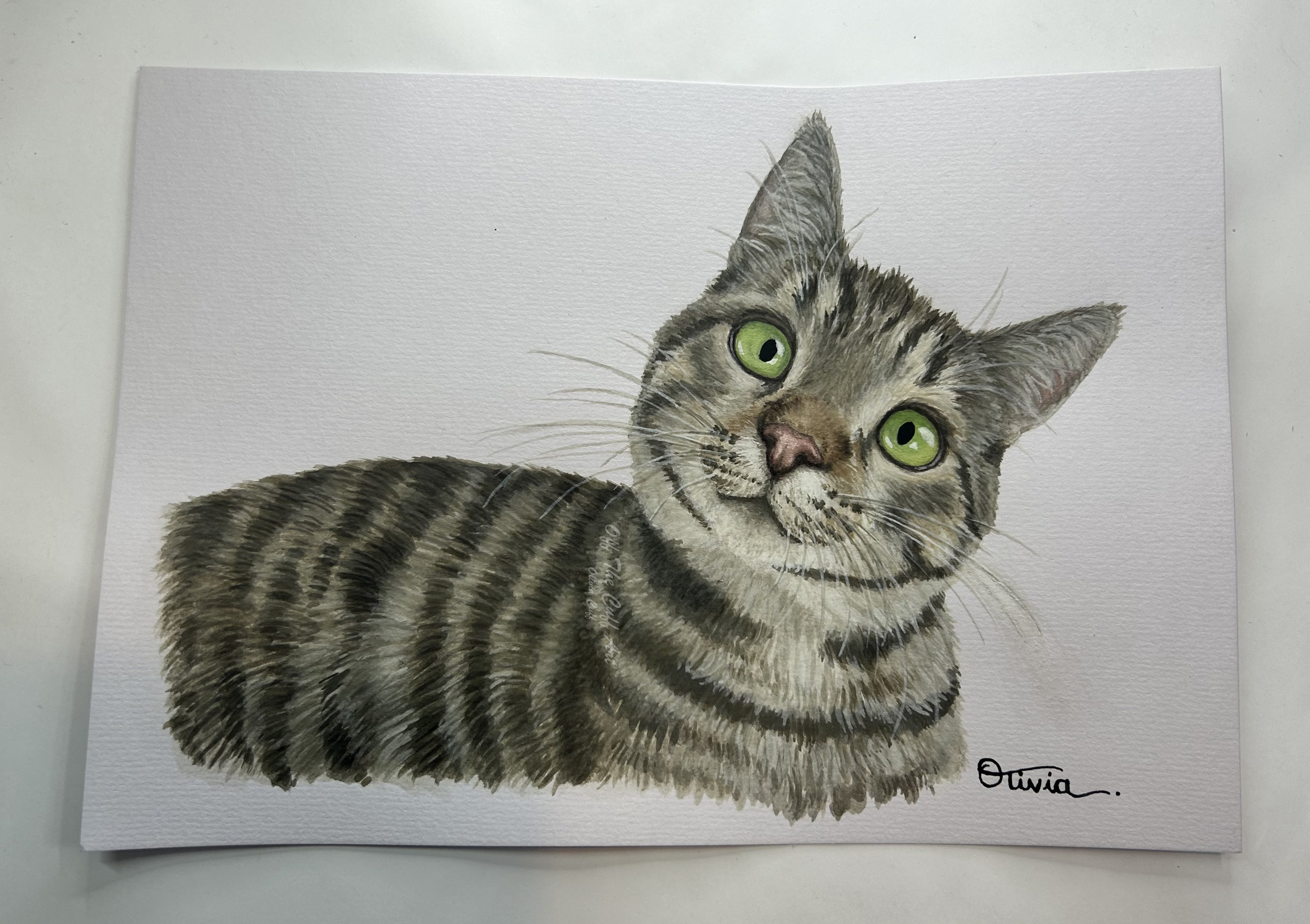 cat teo