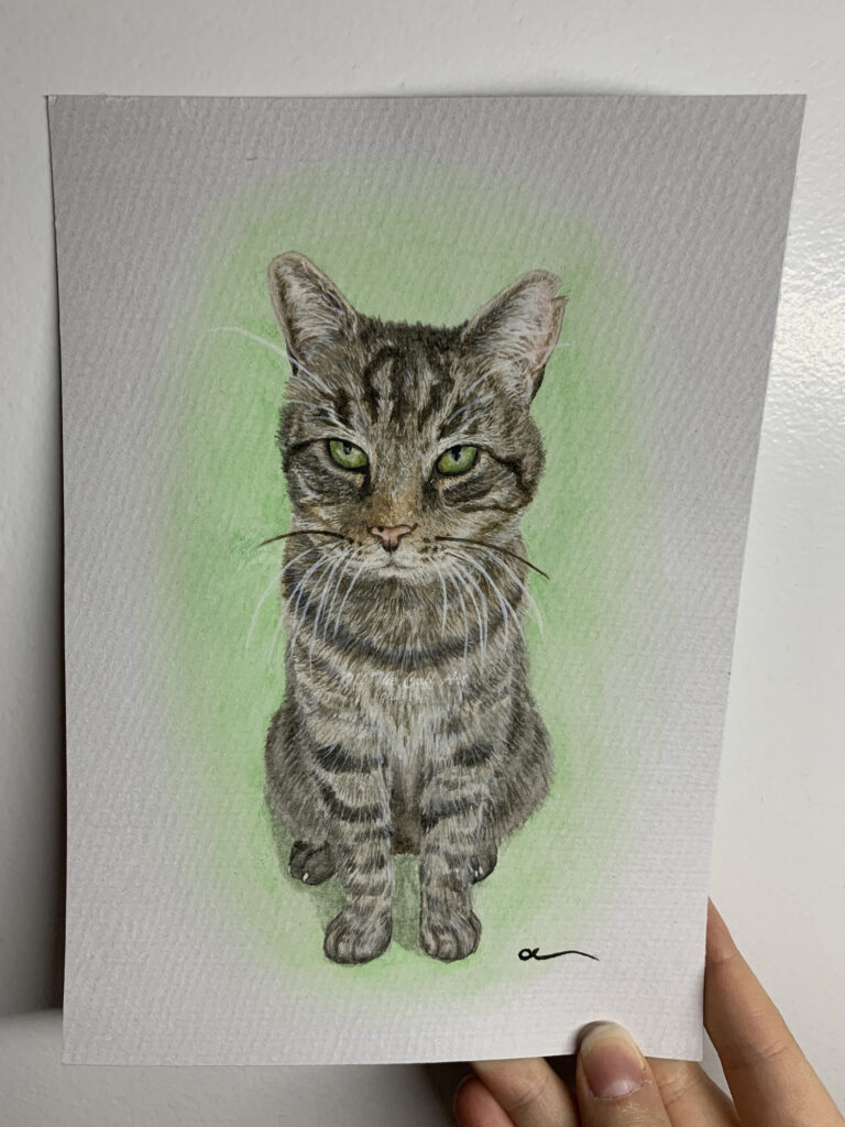 cat tiger