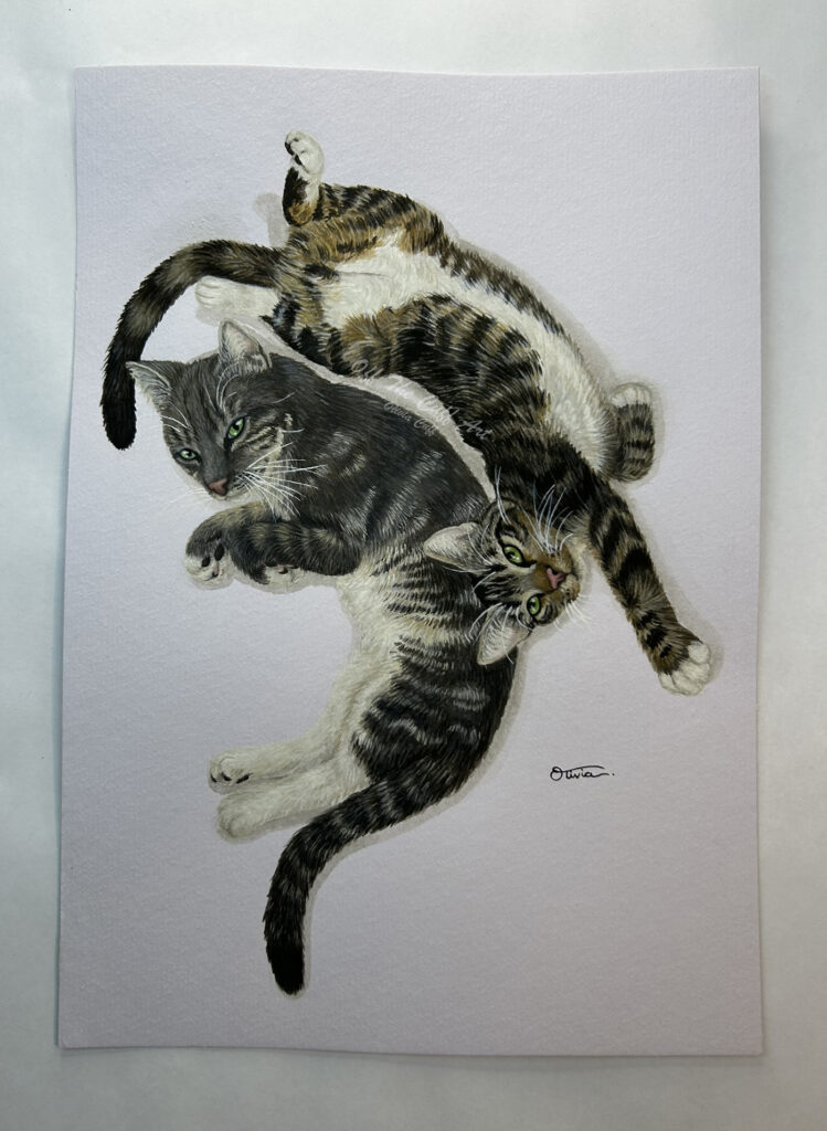 cats honey & otto