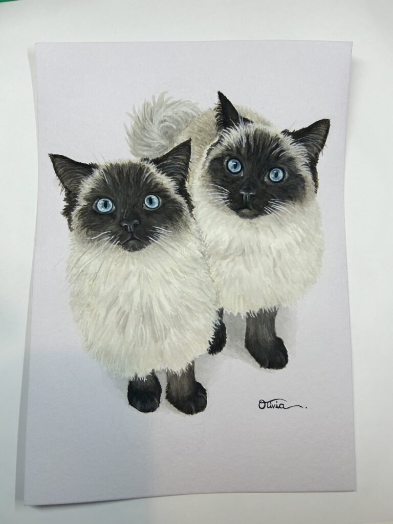 cats luka & loki