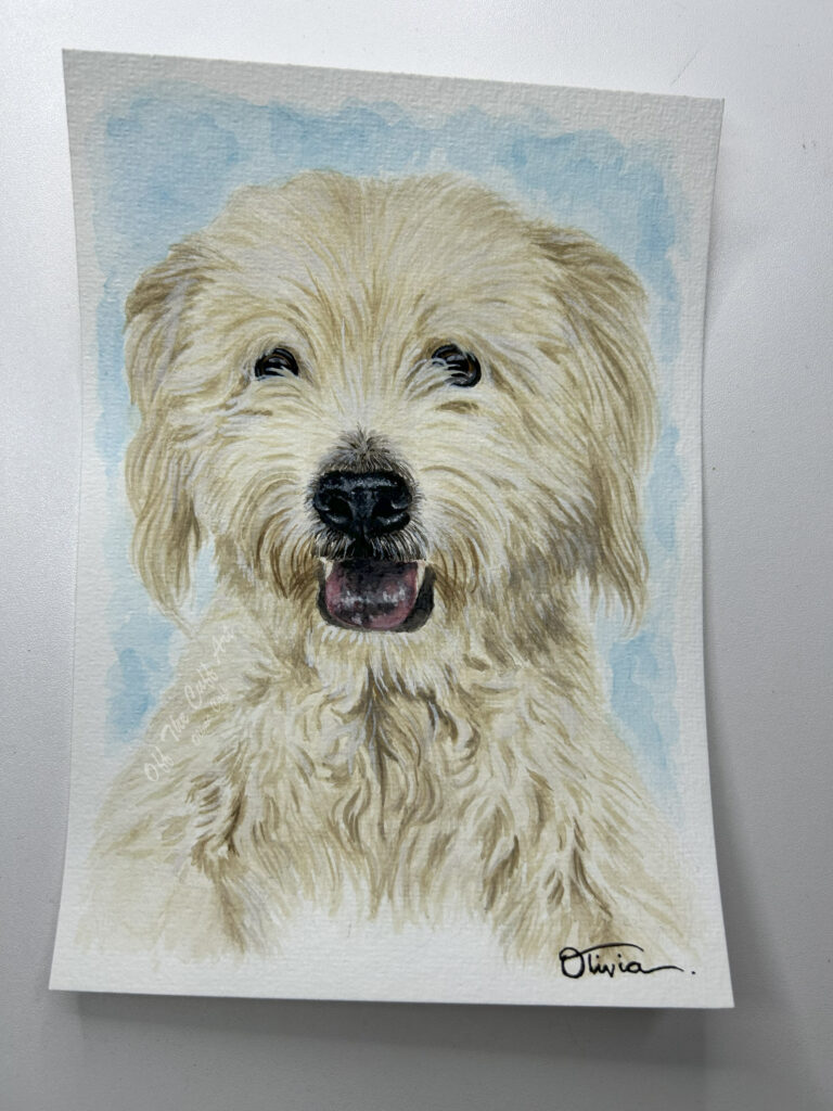dog bobby
