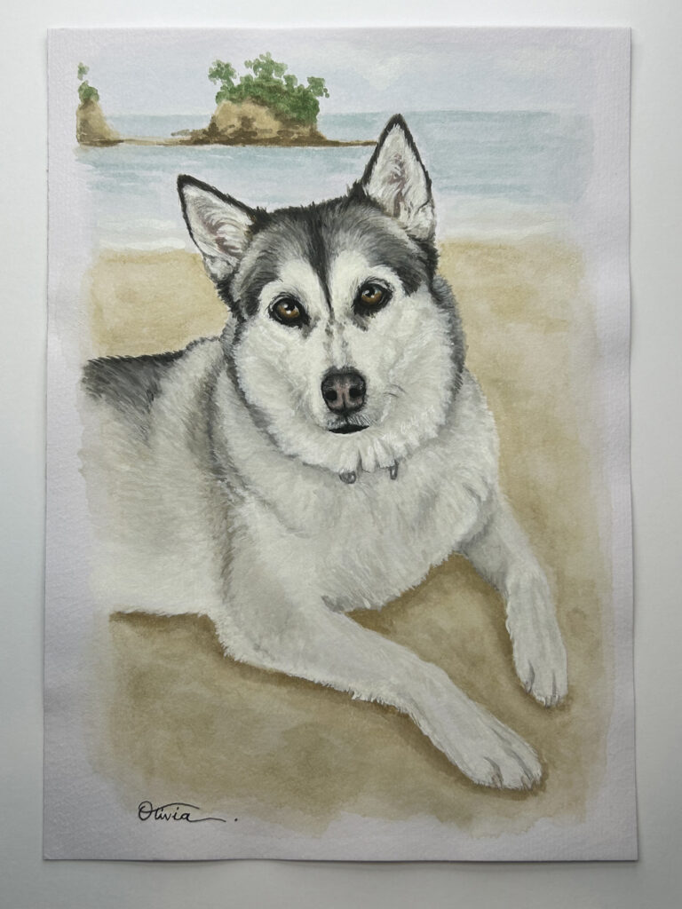 dog coco