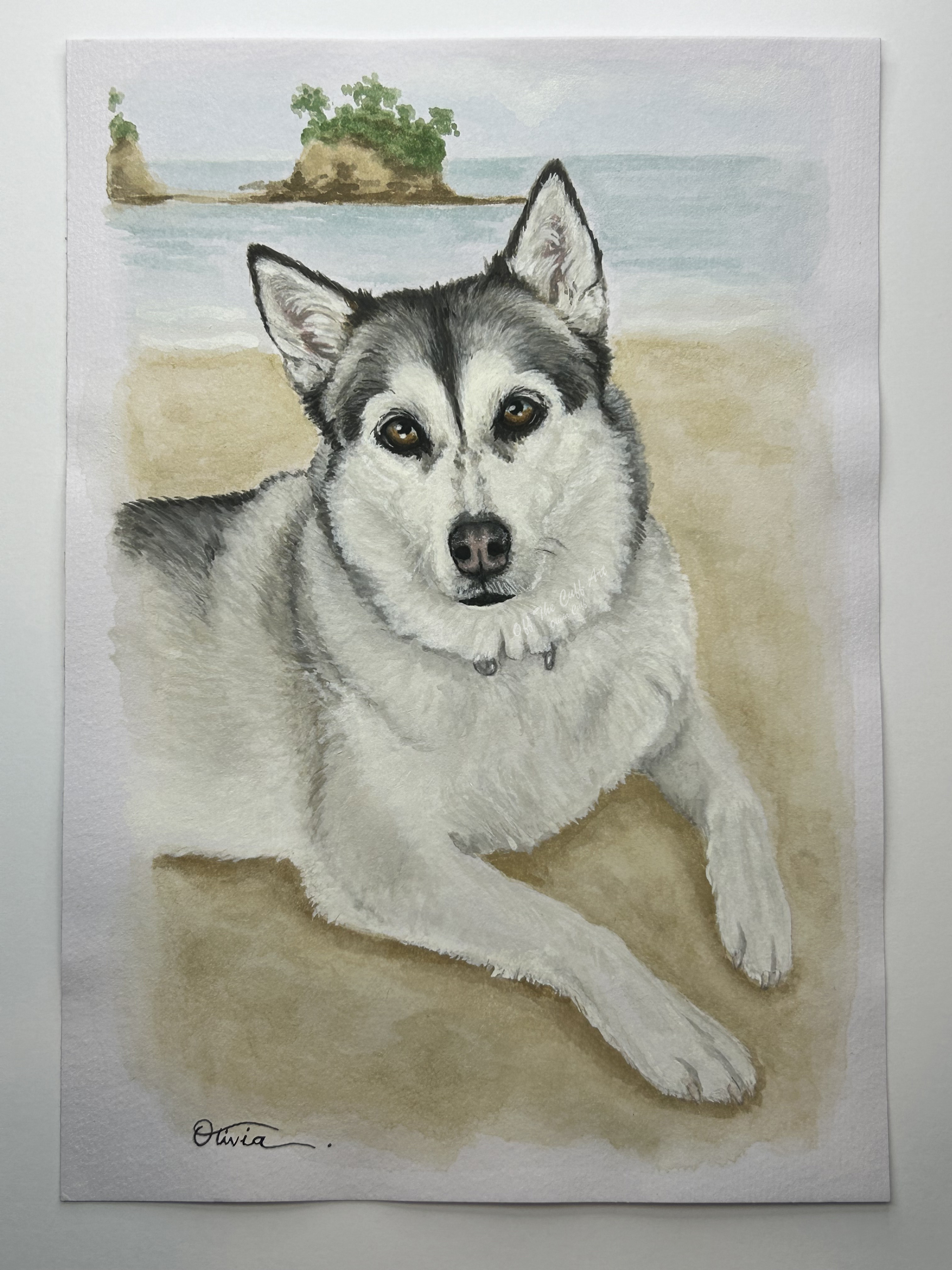 dog coco
