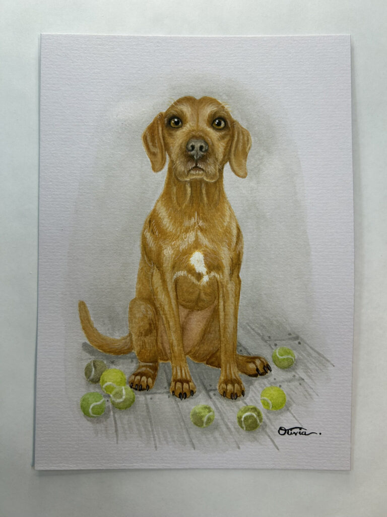 dog cooper