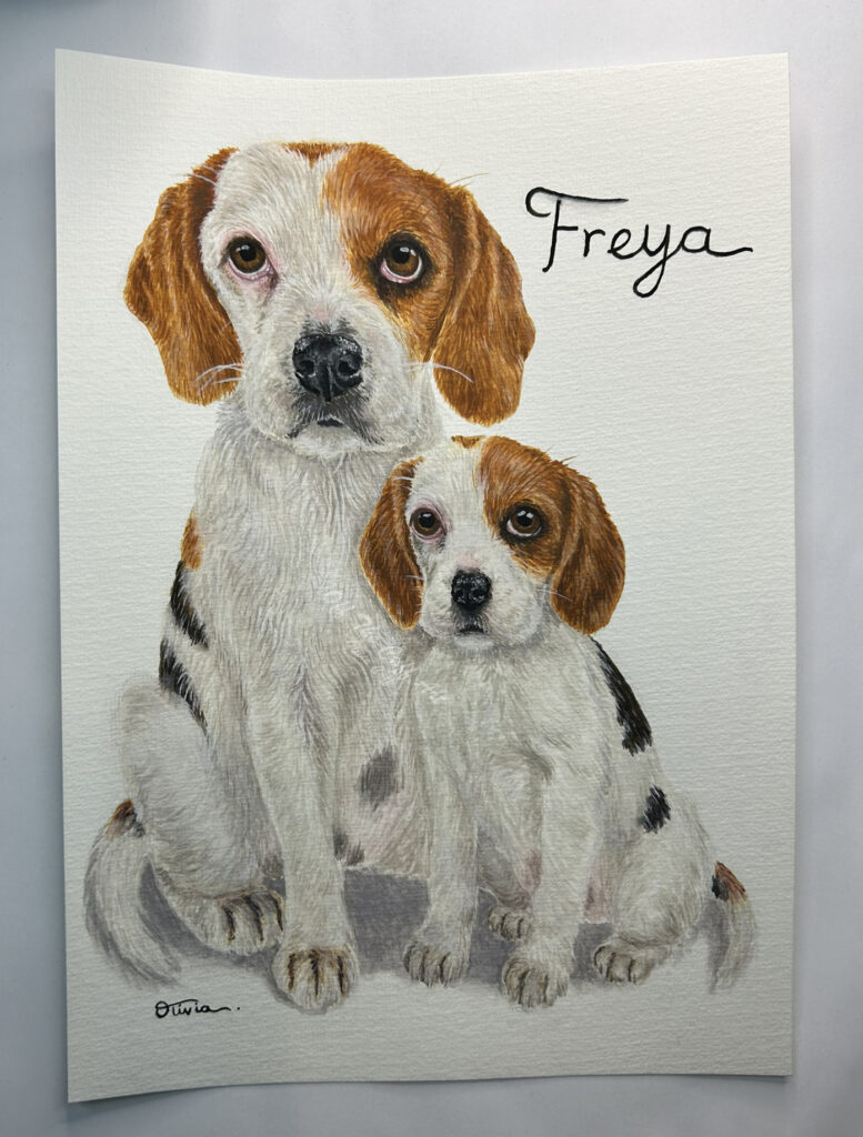 dog freya x2