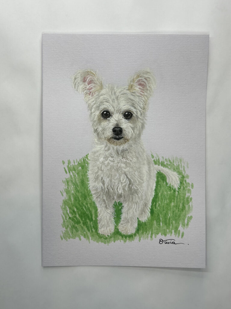 dog harry