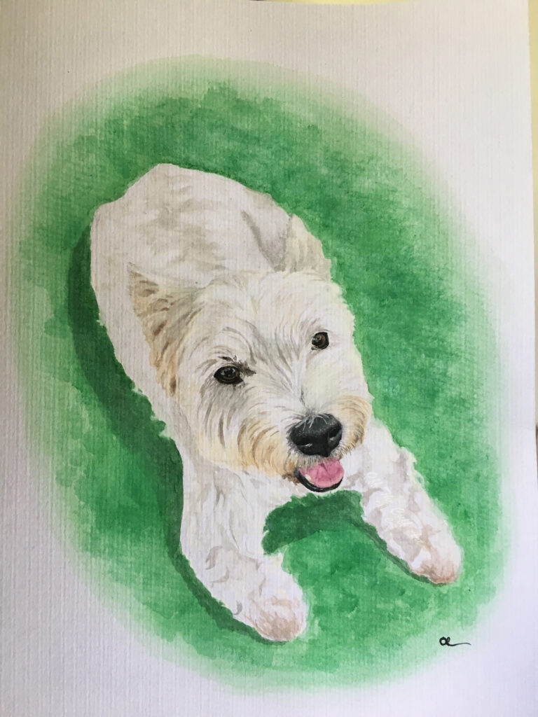 dog henry