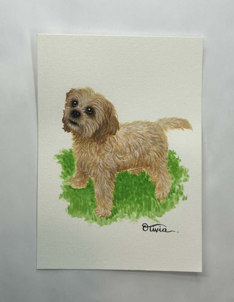 dog hollie