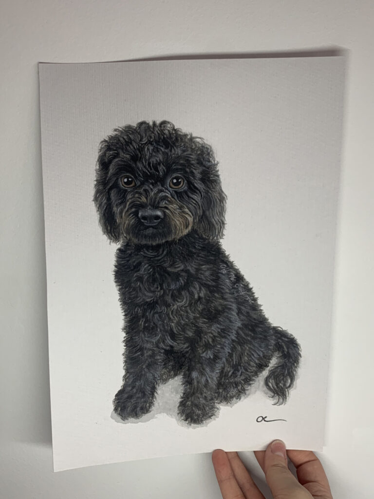 dog isla