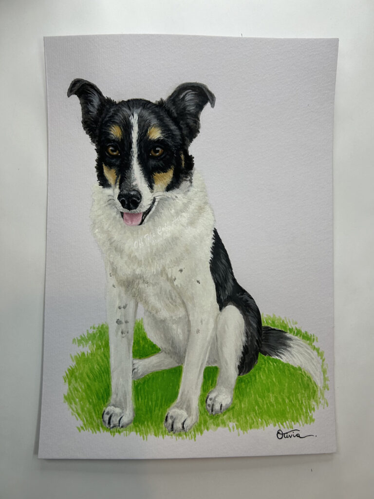 dog jack