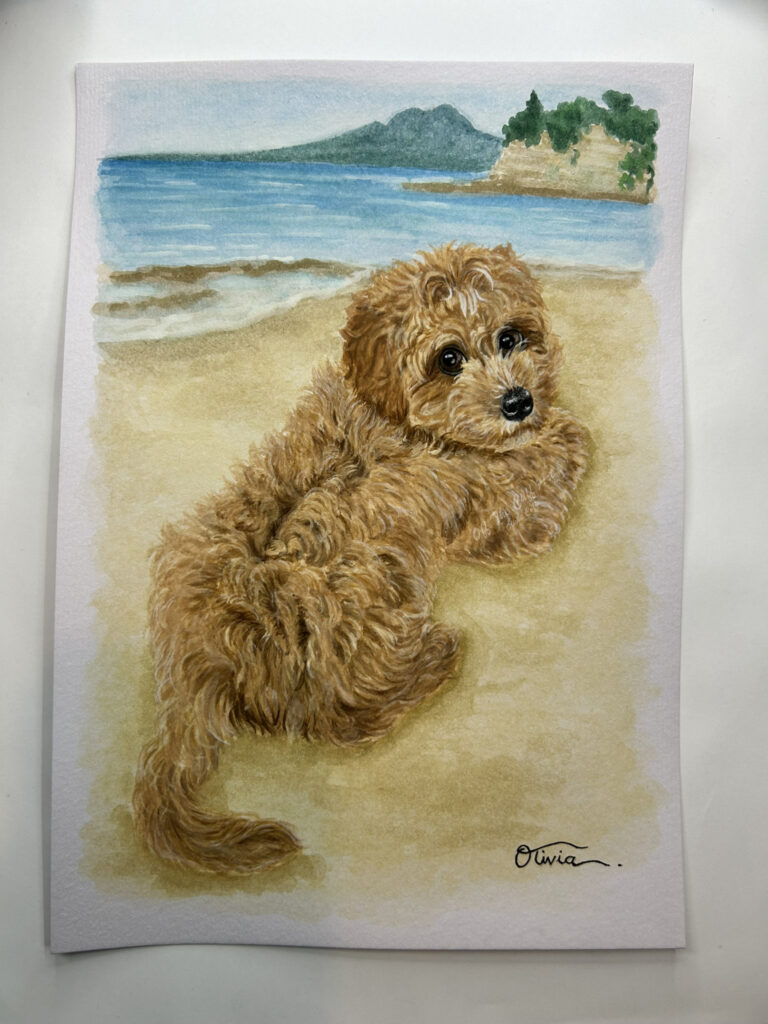 dog jasper