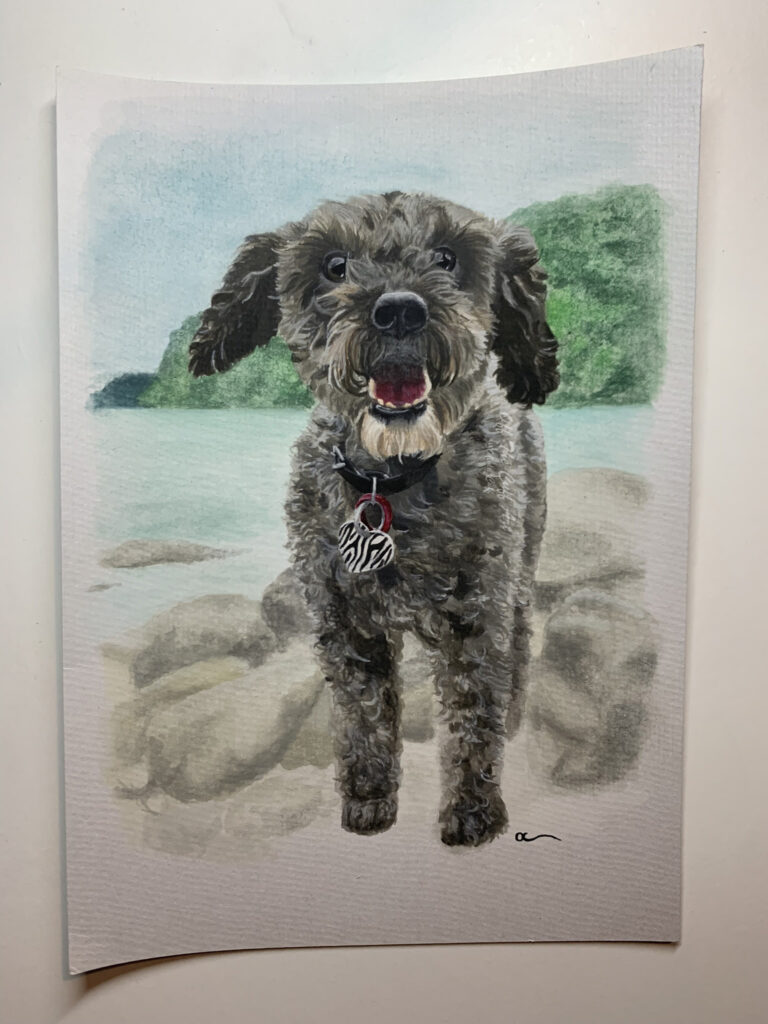 dog lily