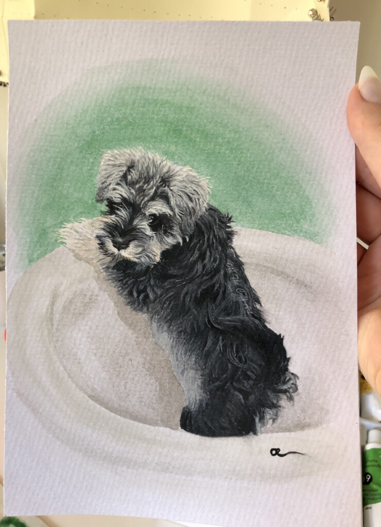 dog otto