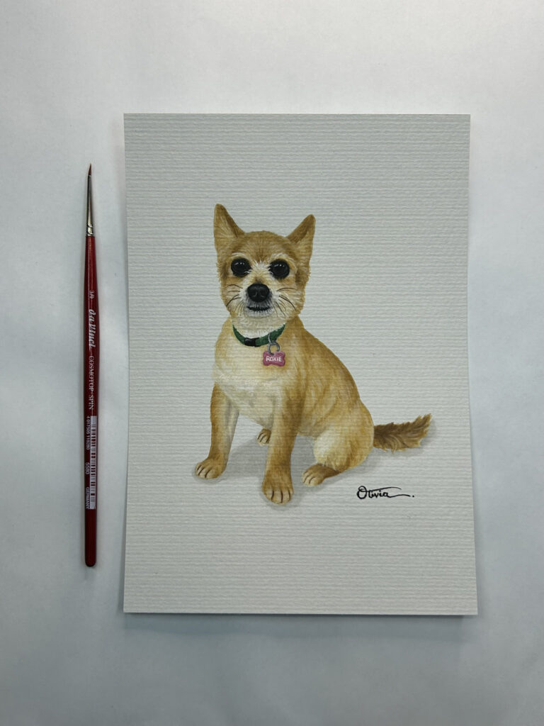 dog roxie