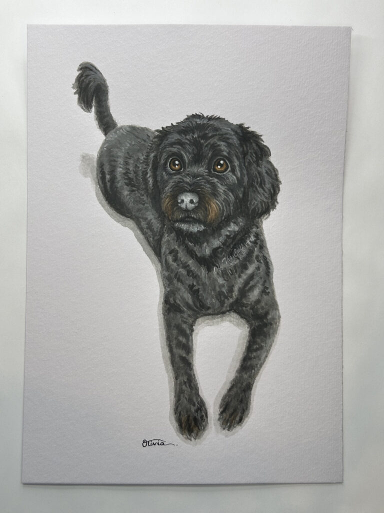 dog siggie