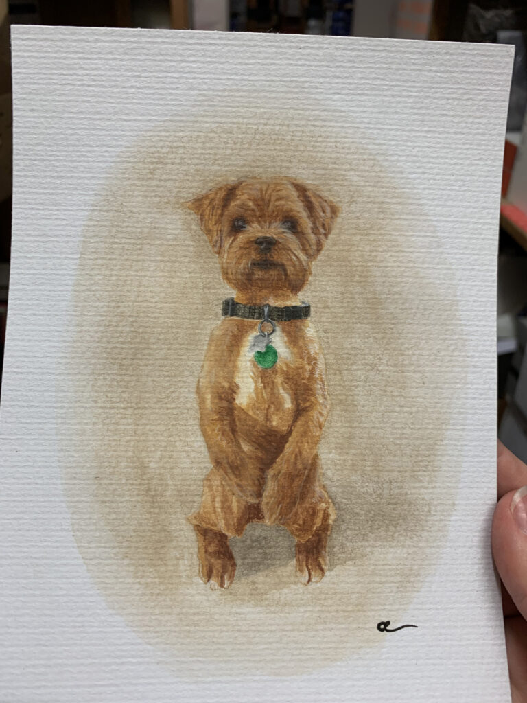 dog stoffel