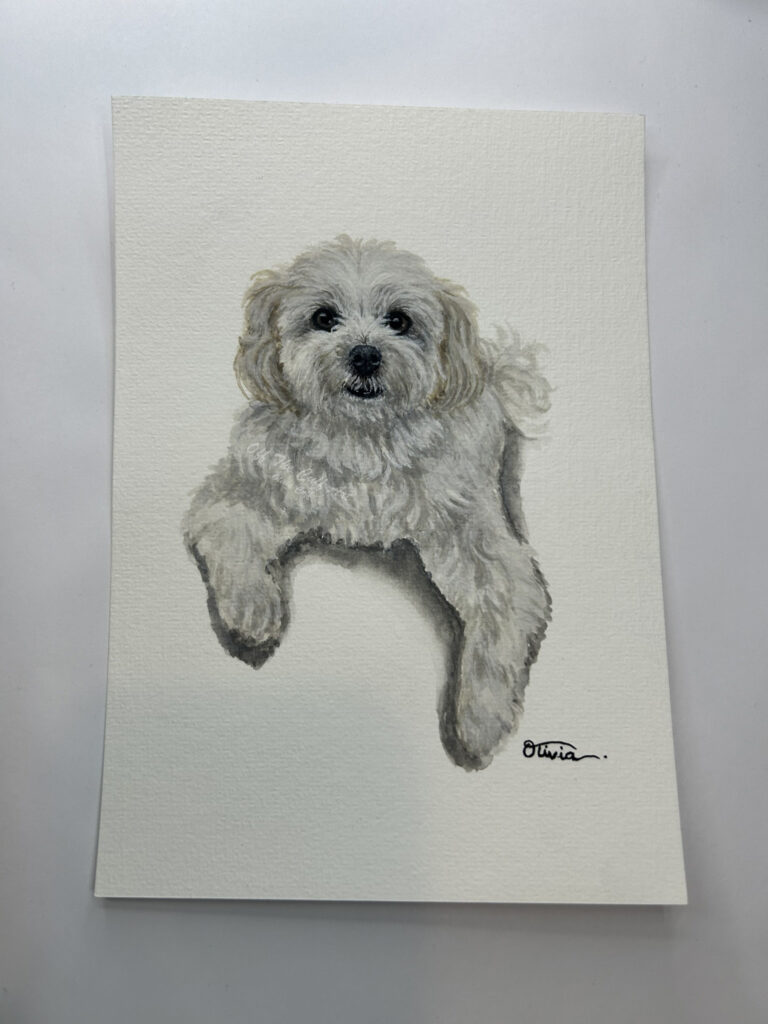 dog zeus