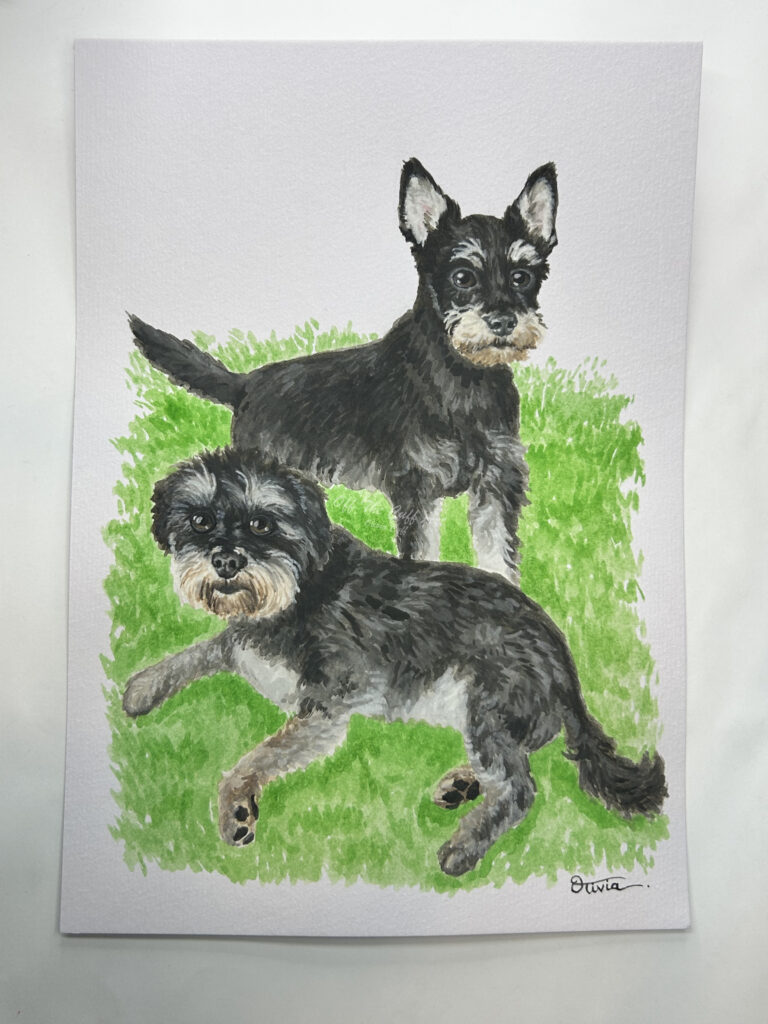 dogs alfie & eddie