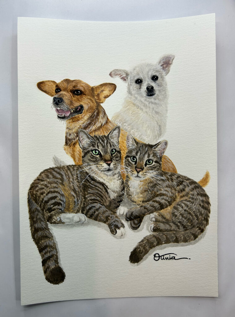 dogs and cats lizzy frank lucjan filip
