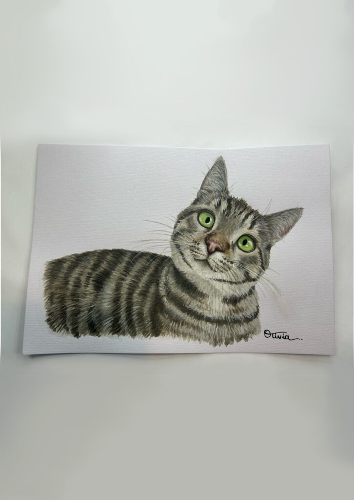 Cat teo v2