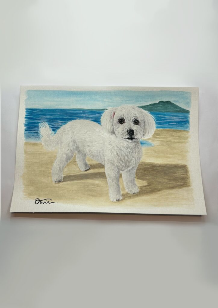Dog cream v2