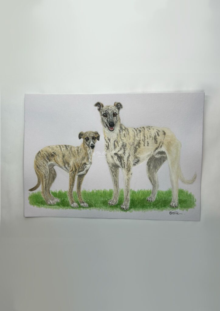 Dogs jack jack & nagi v2
