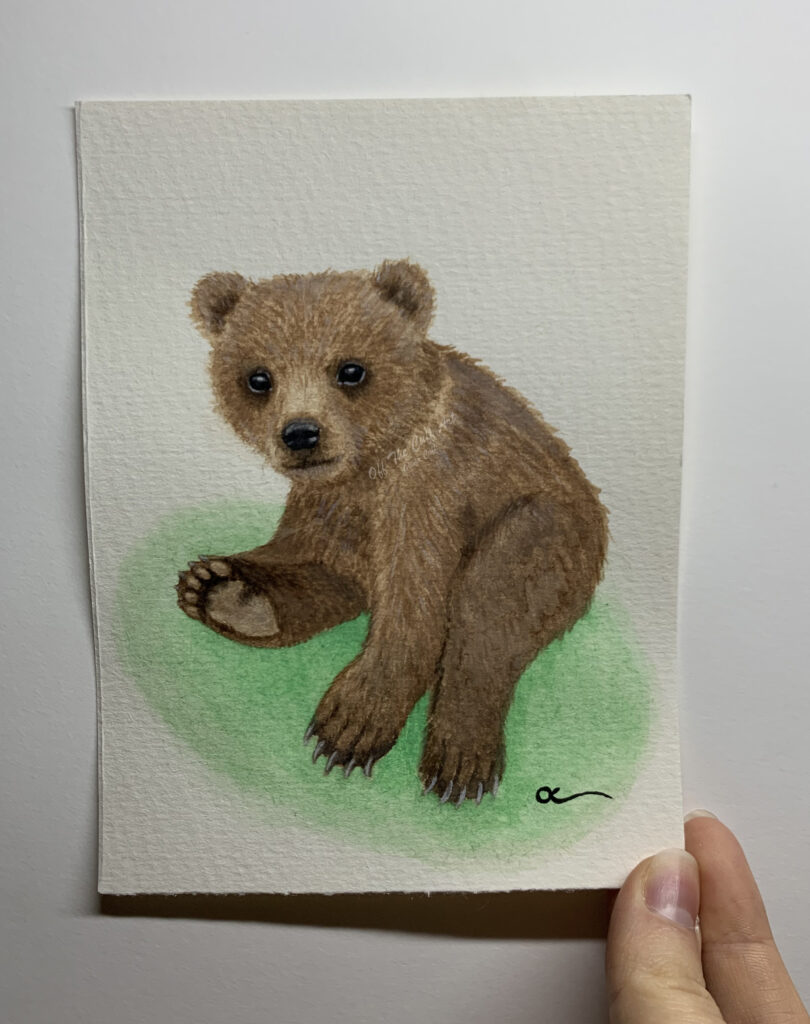 baby bear cub