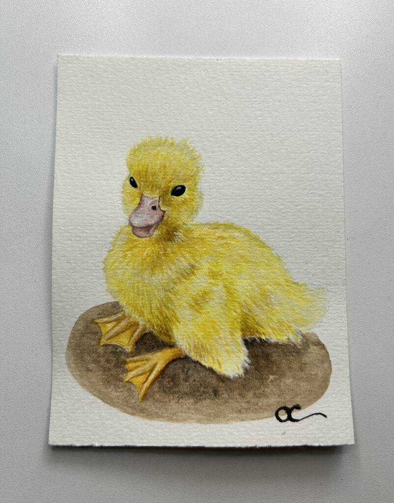 baby duckling