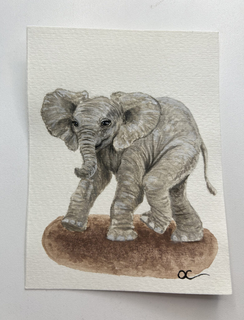 baby elephant calf