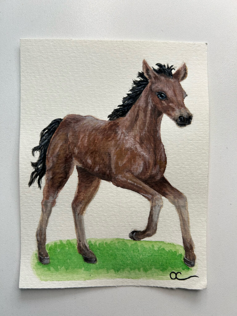 baby horse foal