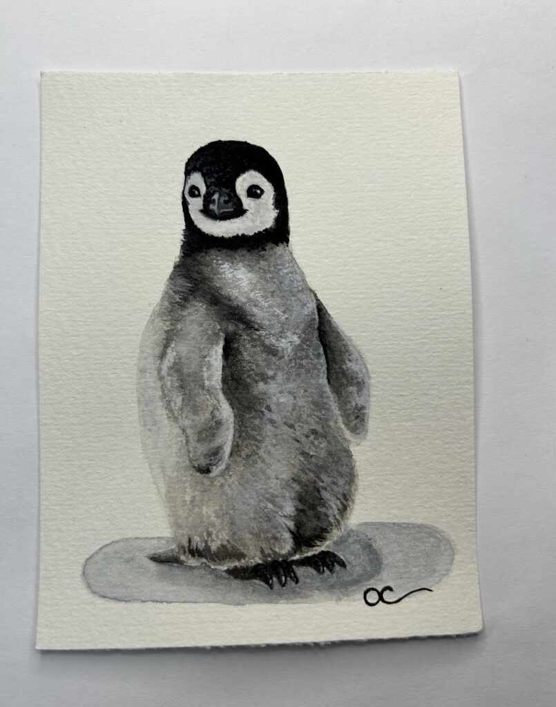 baby penguin chick
