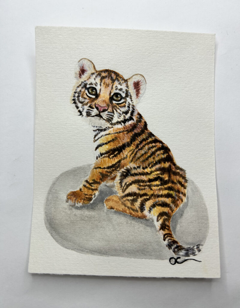 baby tiger cub