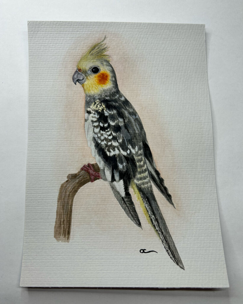 bird cockatiel