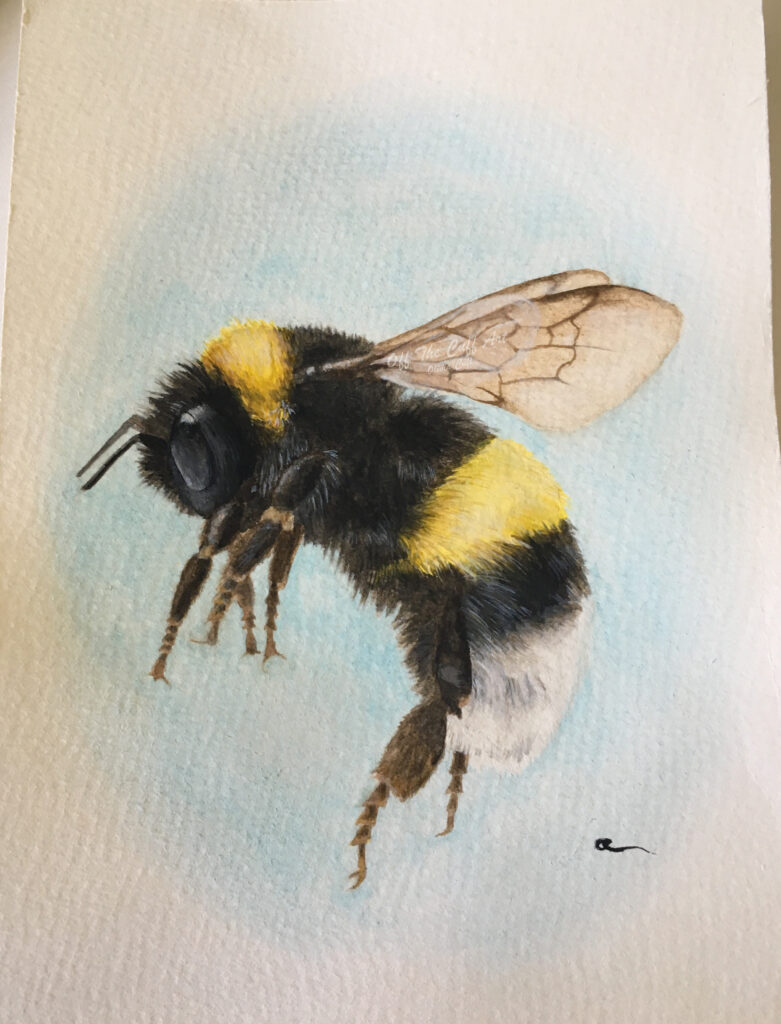 bumblebee