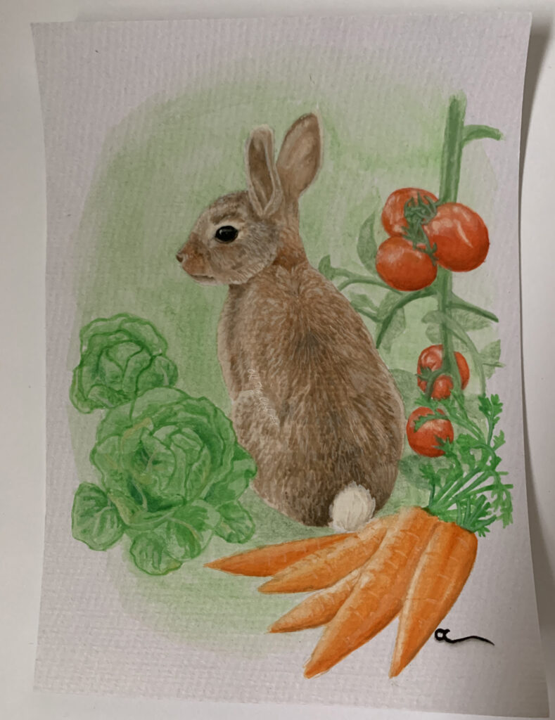 bunny garden