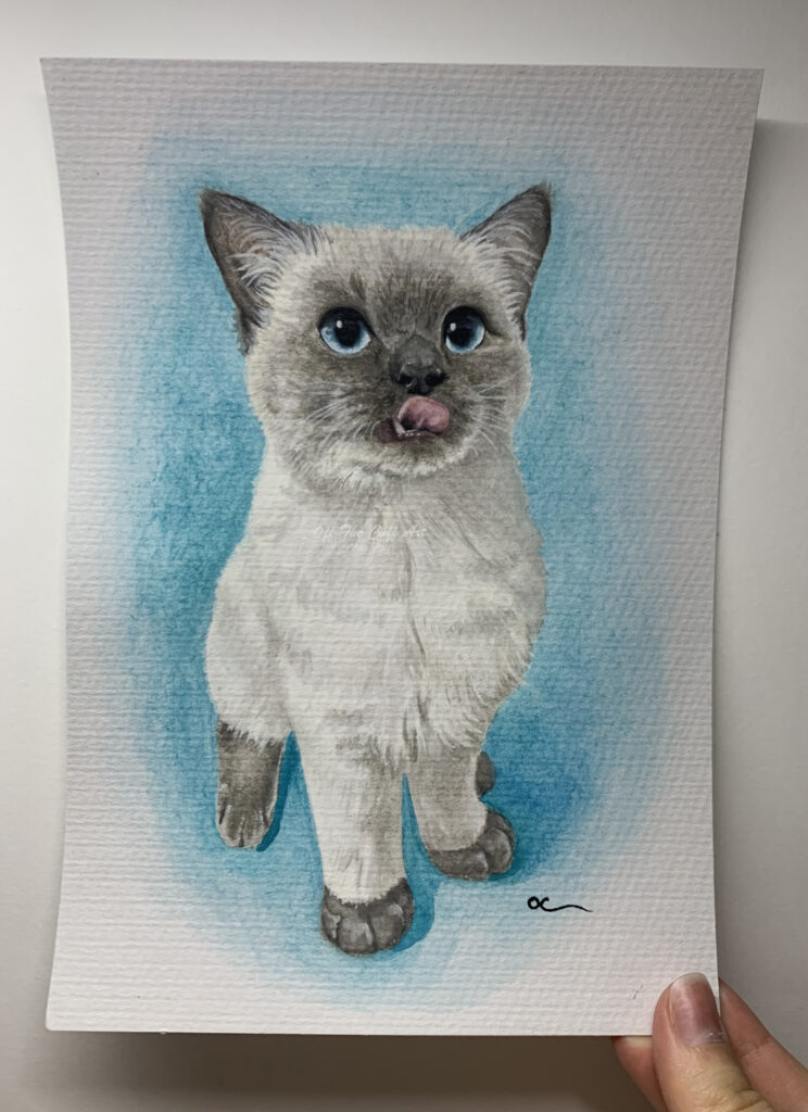 cat licking
