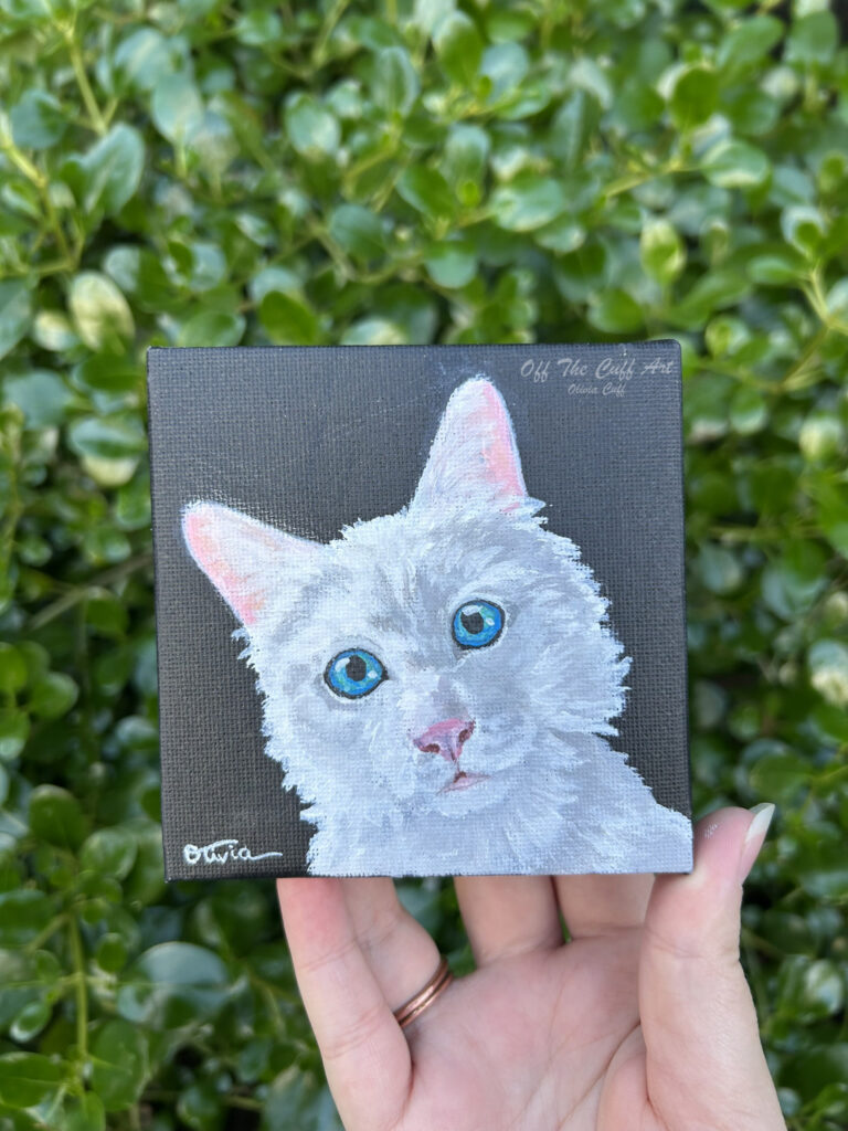 cat white kitten mini