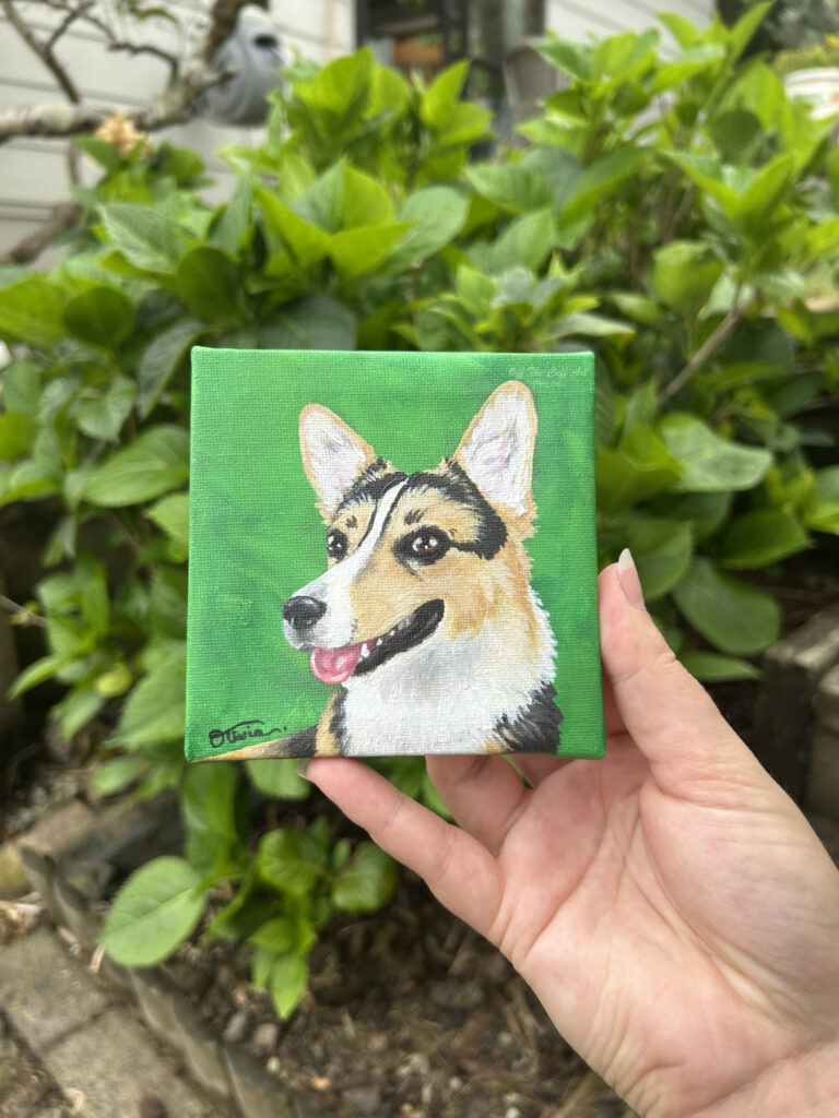 corgi mini