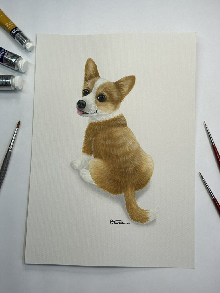 dog corgi butt 2